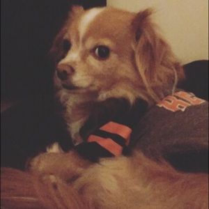 Meet your Posher, Crystal